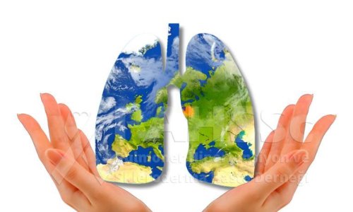 Dünya Pulmoner Hipertansiyon Toplantıları - 2023.11.01