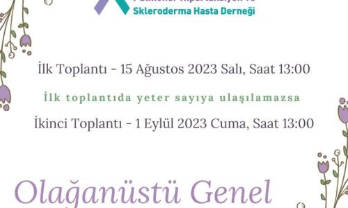 Olağanüstü Genel Kurul Daveti - 2023.07.13