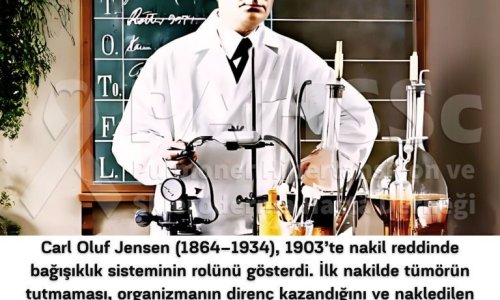 Akciğer Naklinin Tarihçesi -2.25.9 - Jensen ve Bağışıklık Sisteminin Nakil Kaybındaki Rolü - 2025.08.01