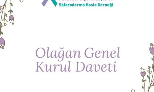 Olağan Genel Kurul Daveti - 2025.05.30