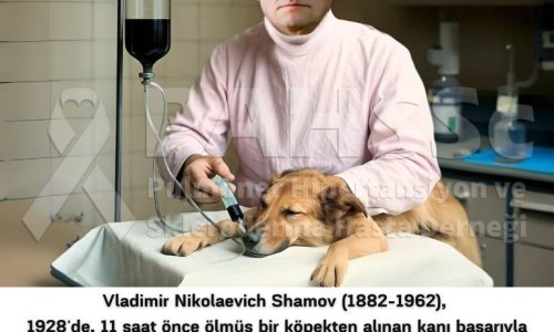Akciğer Naklinin Tarihçesi -2.23- Shamov - Kadavradan Organ Nakli Mümkün - 2025.04.27