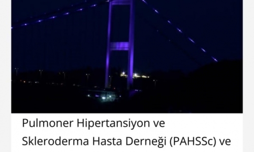 11 Haziran Akciğer Nakli Farkındalık Günü'nde FSM Köprüsü mor renge büründü - 2023.06.11