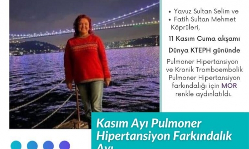 Dünya KTEPH gününde Pulmoner Hipertansiyon farkındalığı için İstanbul Boğaz köprüleri Mor renk ışıkla aydınlatıldı - 2022.11.11