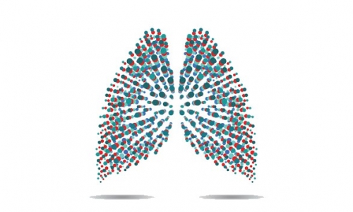 Vanderbilt çalışması; nadir akciğer hastalığı önlenebilir - 2019.05.26