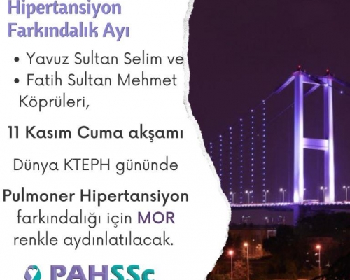 KTEPH farkındalığı için İstanbul'un incileri aydınlatılacak - 2022.11.11
