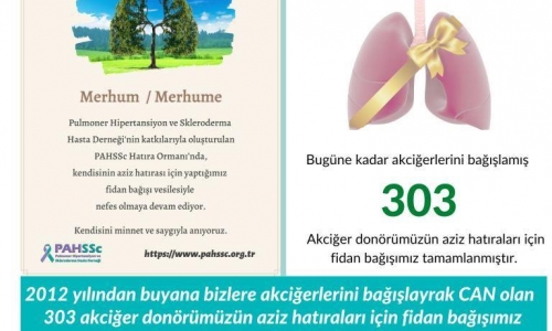 2012 yılından buyana toplam 303 akciğer donörünün aziz hatırası için fidan bağışımız bugün tamamlandı - 2022.09.07