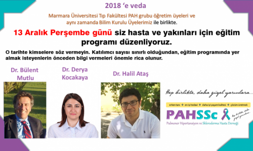 13 Aralık İstanbul PAH HYBT - 2018.11.08