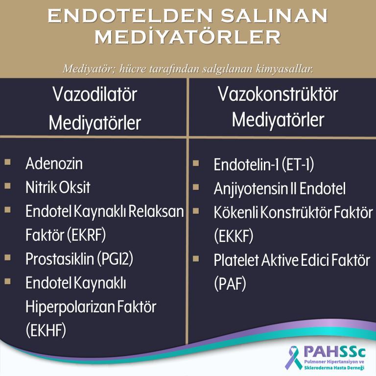 VSD (Ventriküler Septal Defekt) ve Tedavisi - Doç Dr Osman Özdemir