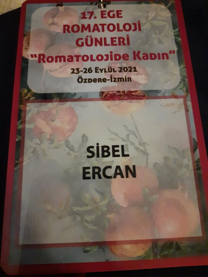 17 .Ege Romatoloji Günleri Sistemik Skleroz ile Yaşamım - Sibel Ercan