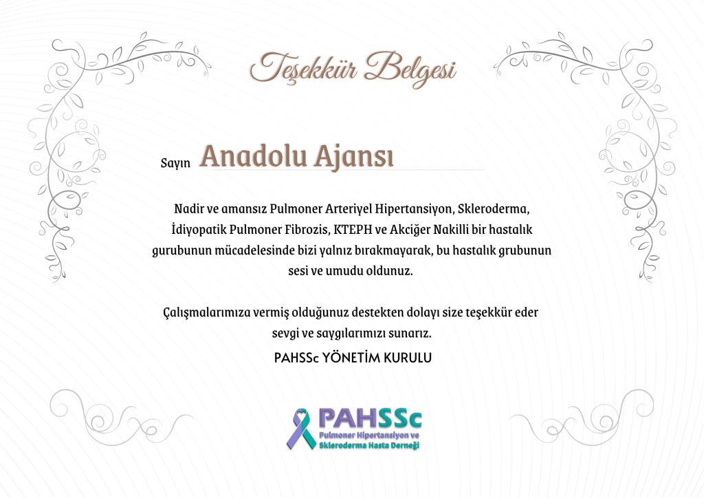 Anadolu Ajansı