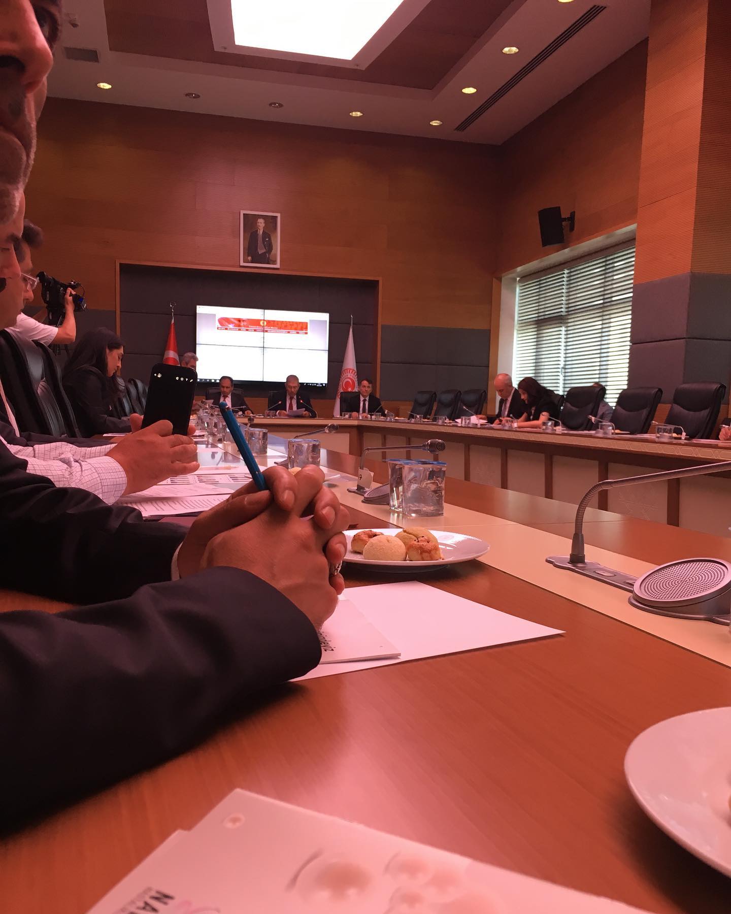 TBMM SMA, DMD, ALS,MS ve Nadir Hastalıklar Araştırma Komisyonu - 10.07.2019