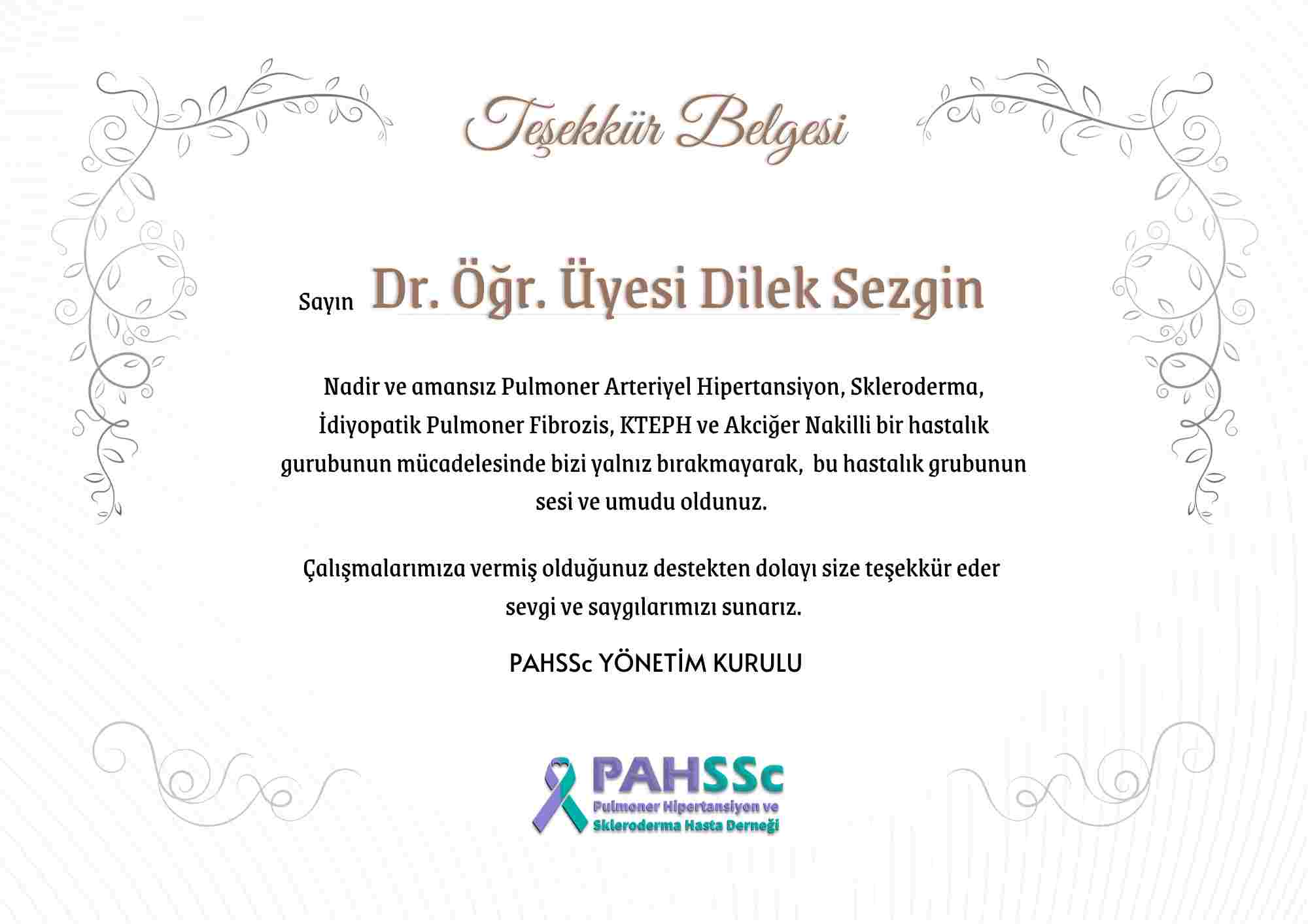Dr. Öğr. Üyesi Dilek Sezgin